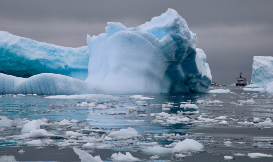 La chance unique de photographier la nature sauvage en croisière polaire