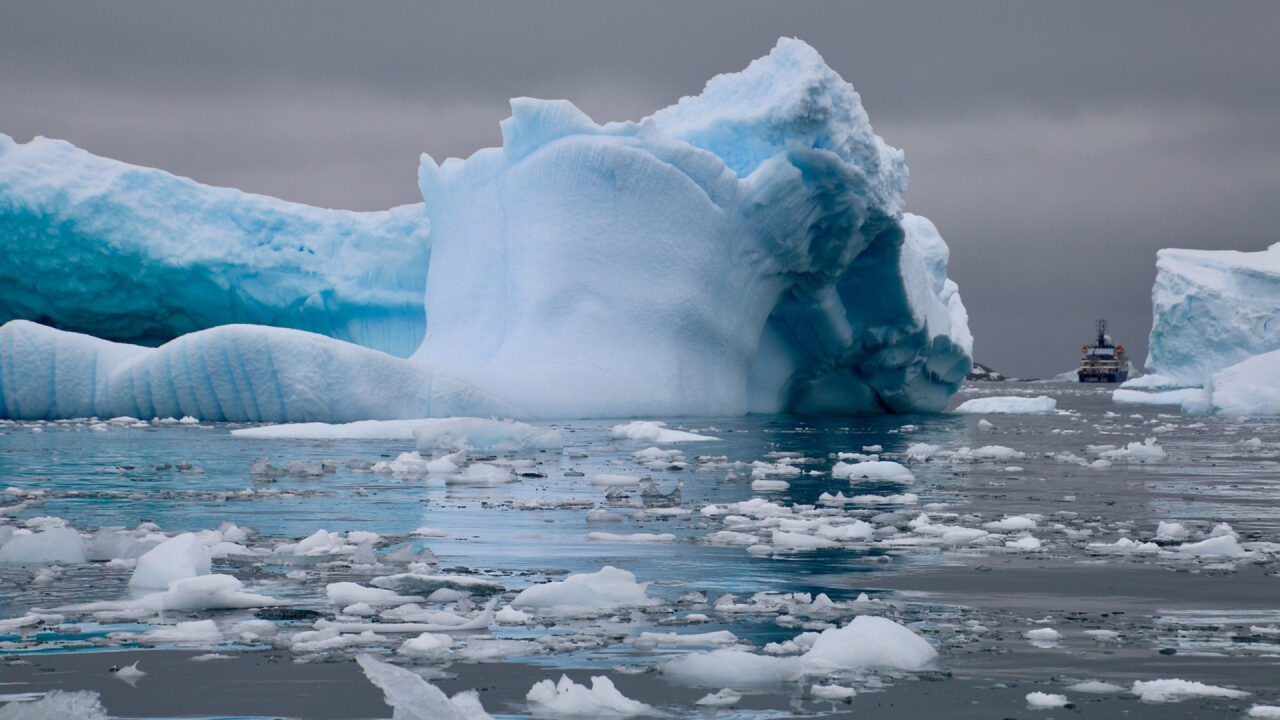 La chance unique de photographier la nature sauvage en croisière polaire